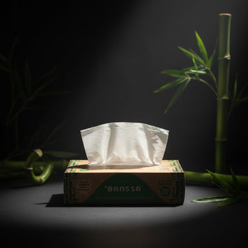 The bamboo switch