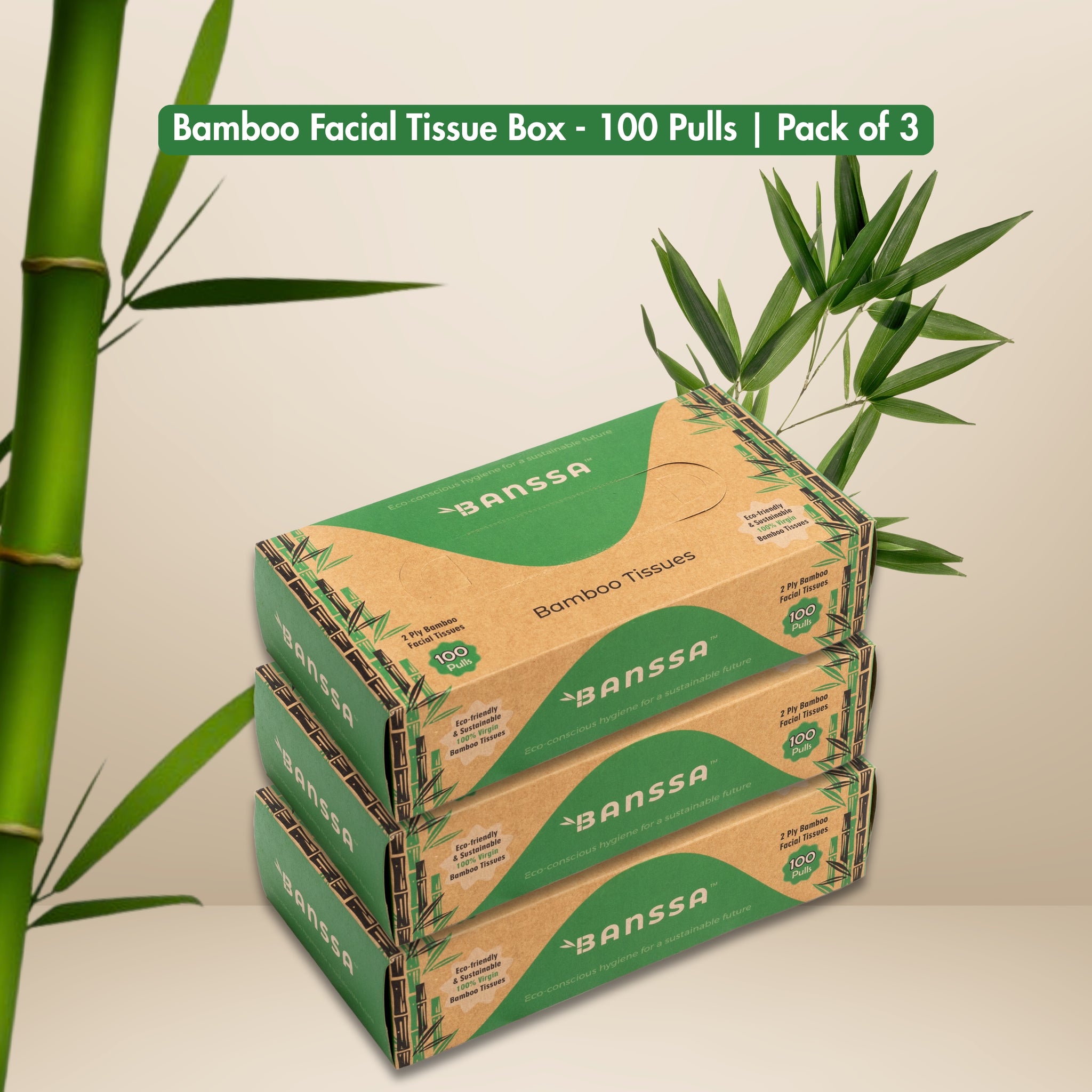 Bamboo Facial Tissue Box - 100 Pulls | Pack of 3