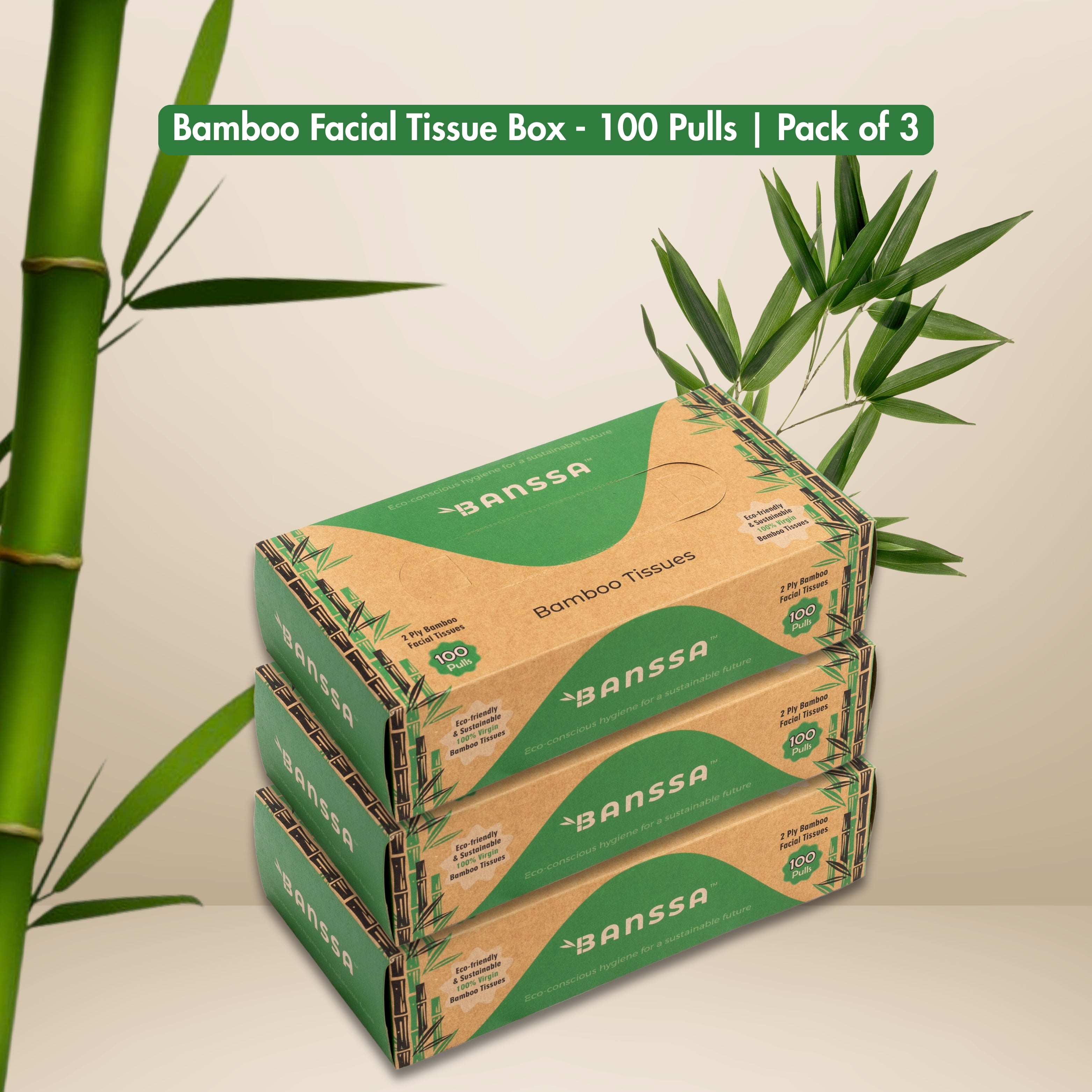 Bamboo Facial Tissue Box - 100 Pulls | Pack of 3