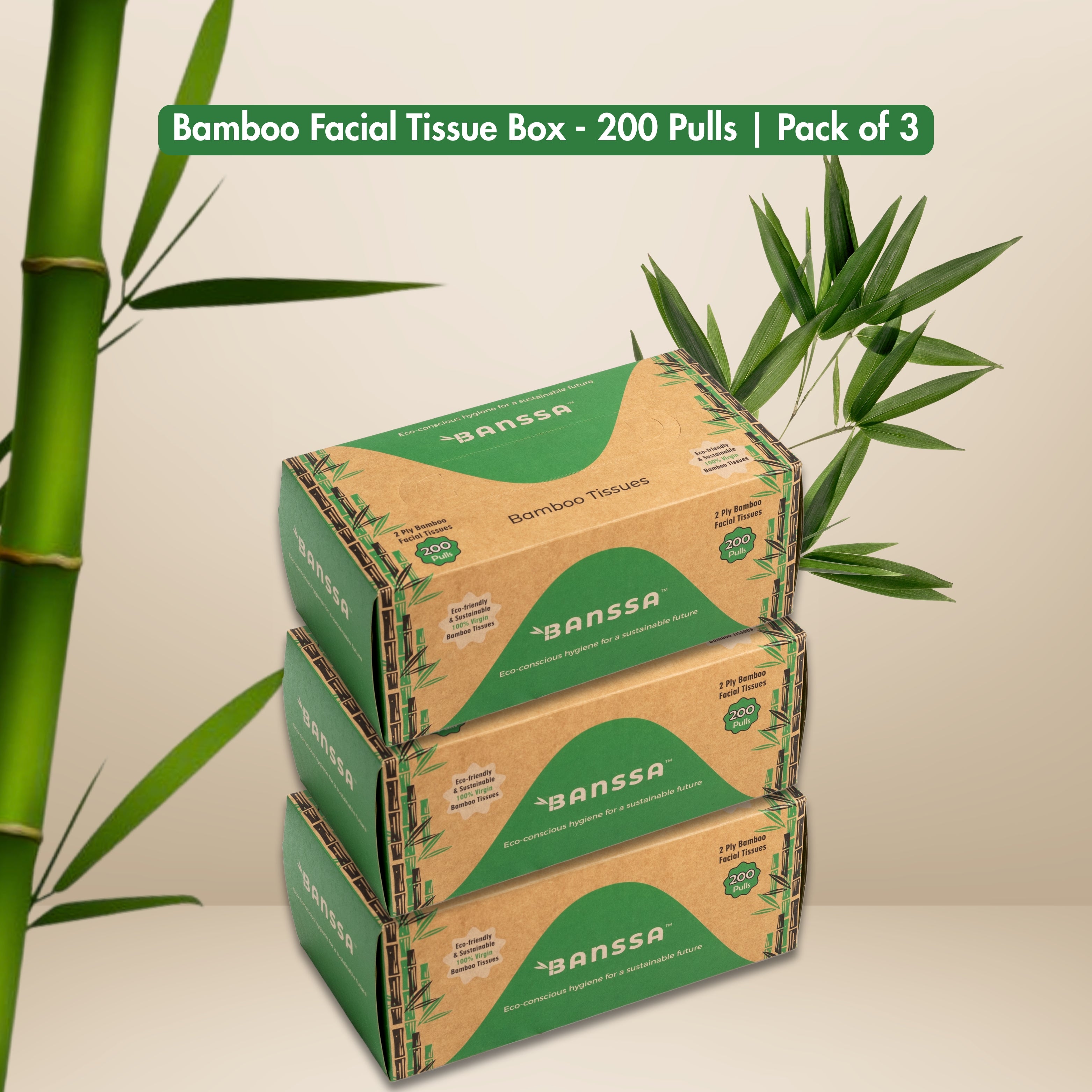 Bamboo Facial Tissue Box - 200 Pulls | Pack of 3