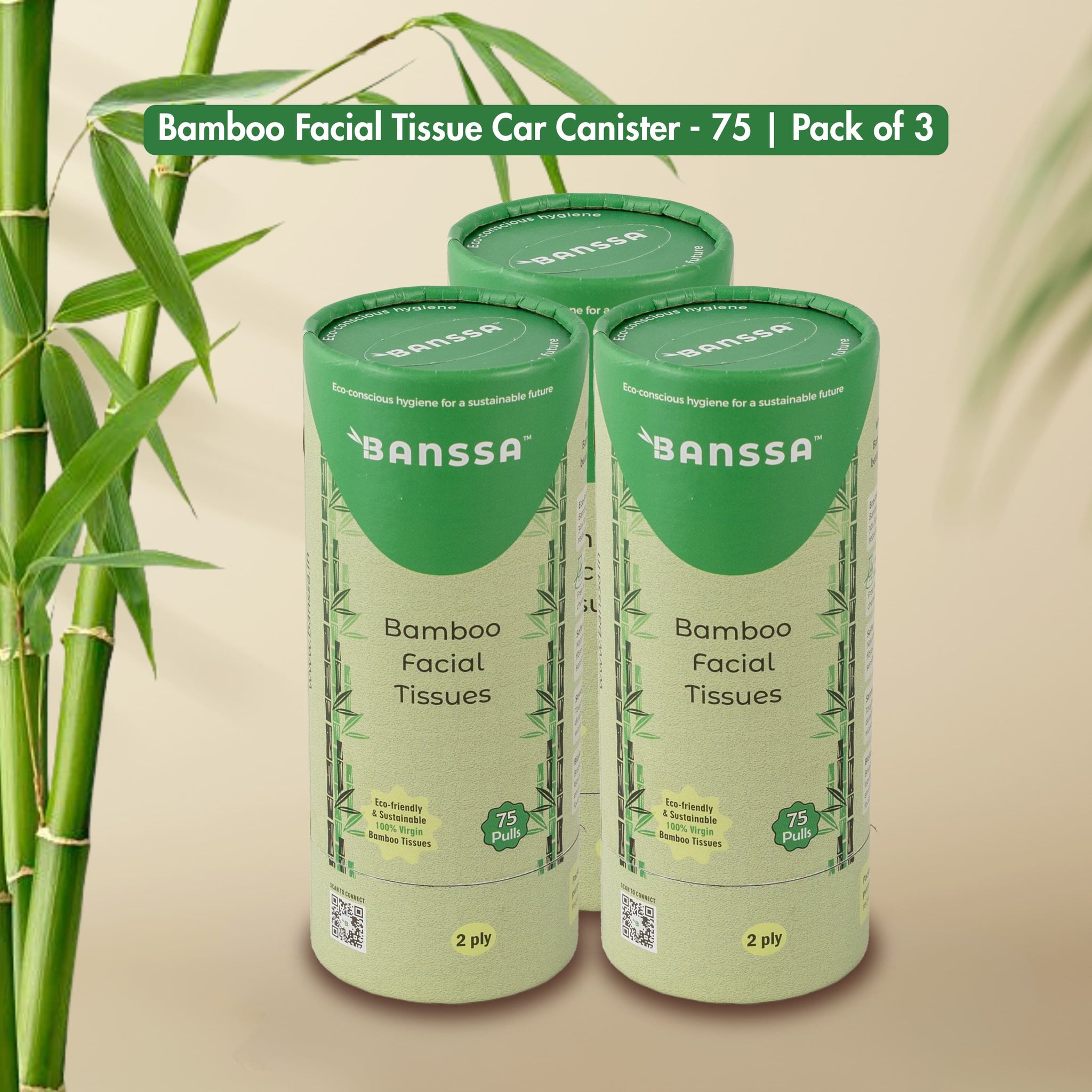 Bamboo Facial Tissue Car Canister - 75 Pulls | Pack of 3