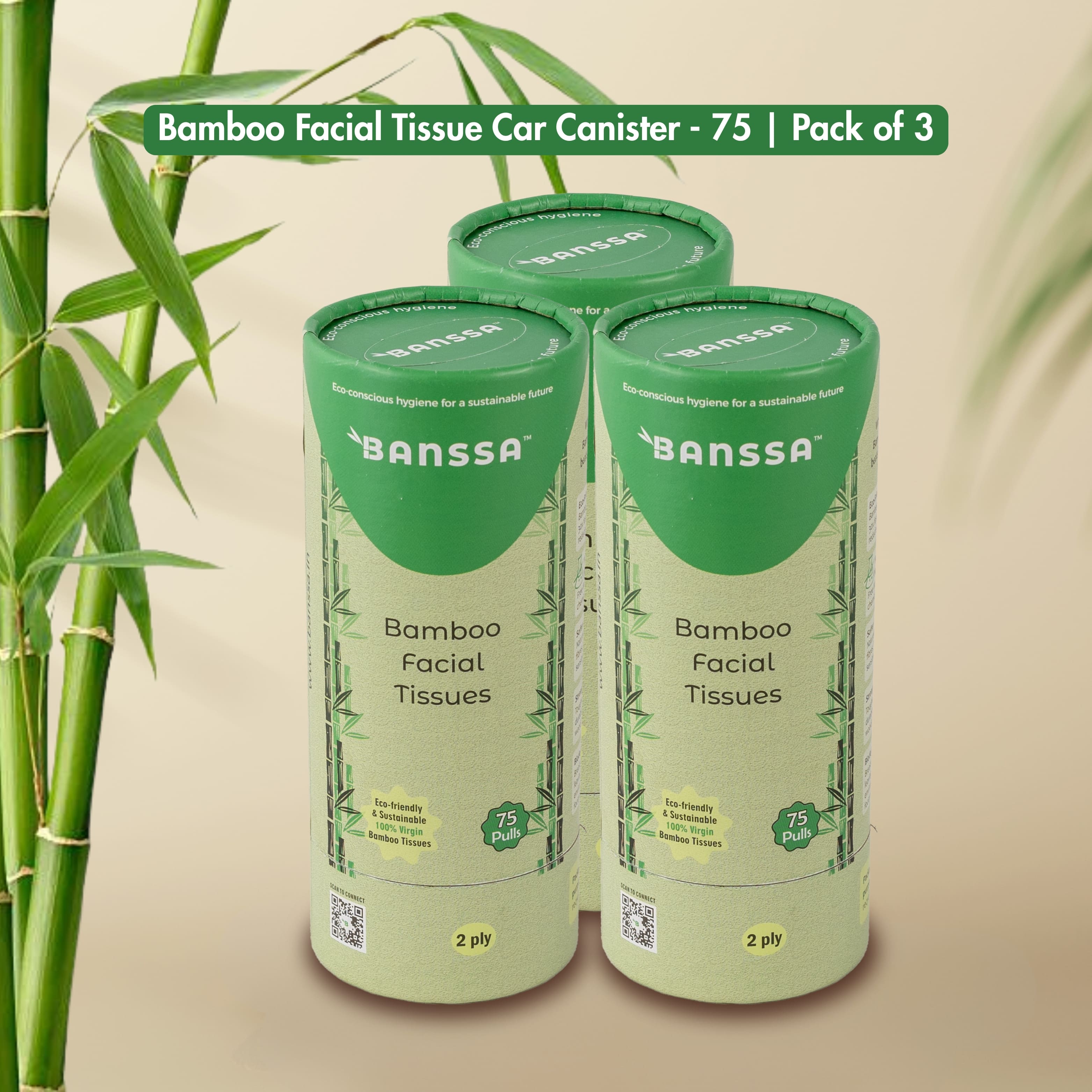 Bamboo Facial Tissue Car Canister - 75 Pulls | Pack of 3